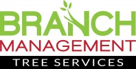 Branch Management 